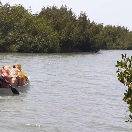 Mangrove Beach Sanyang Buitenkant foto