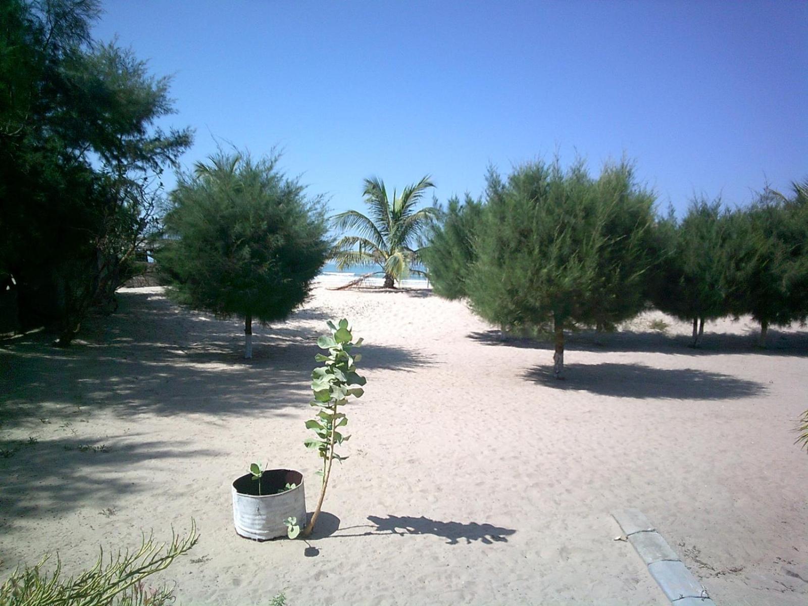 Mangrove Beach Sanyang Buitenkant foto