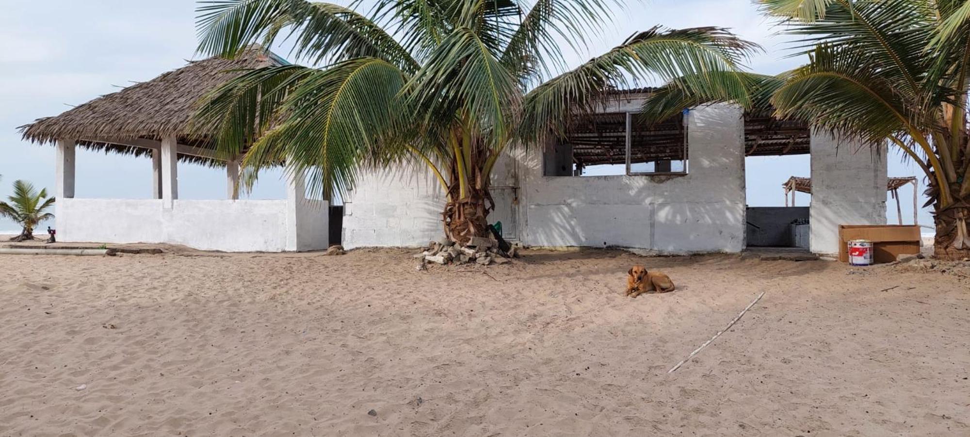 Mangrove Beach Sanyang Buitenkant foto